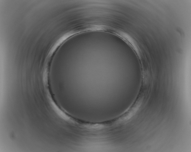 X0000115490851200911061305