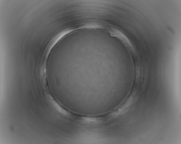 X0000115490852200911061305