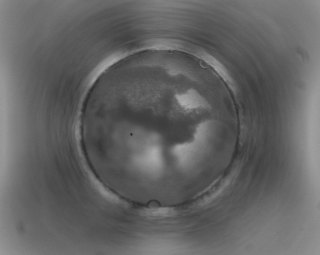 X0000115490853200911061305