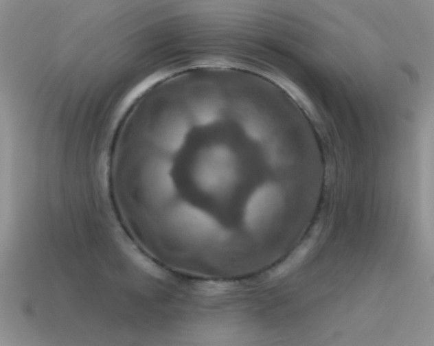 X0000115490854200911061305
