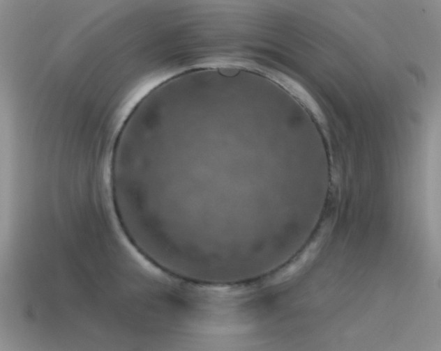 X0000115490855200911061305