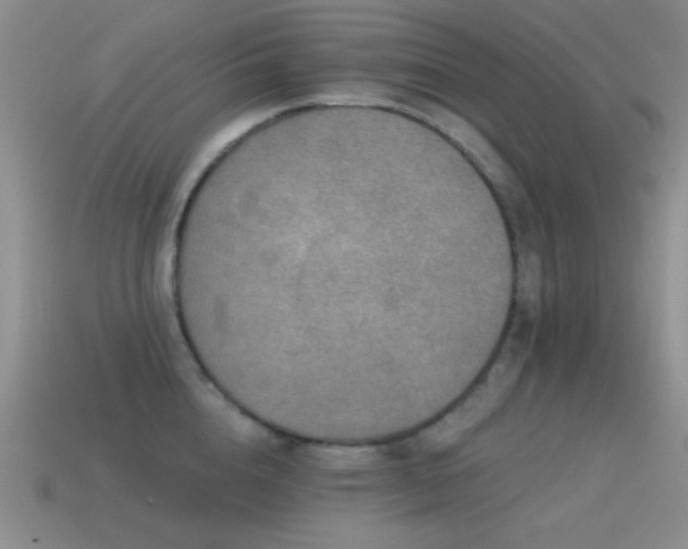 X0000115490856200911061305