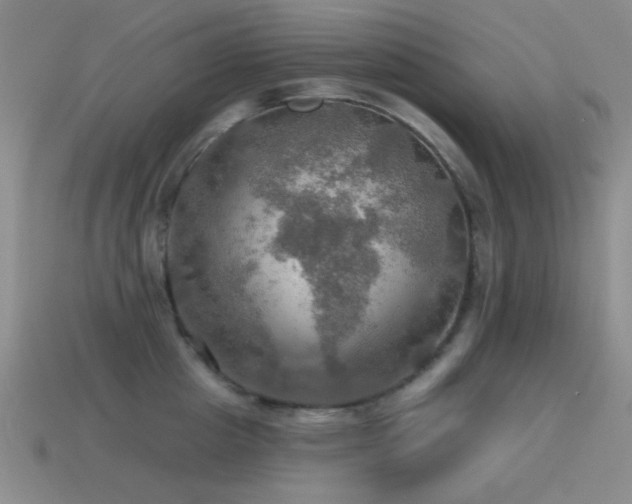 X0000115490857200911061305