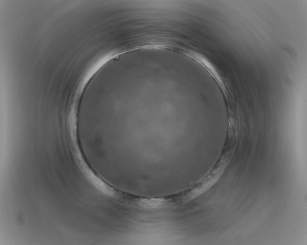 X0000115490859200911061305