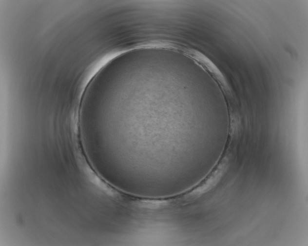 X0000115490860200911061305