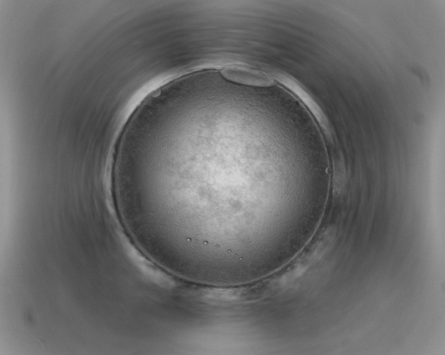 X0000115490861200911061305