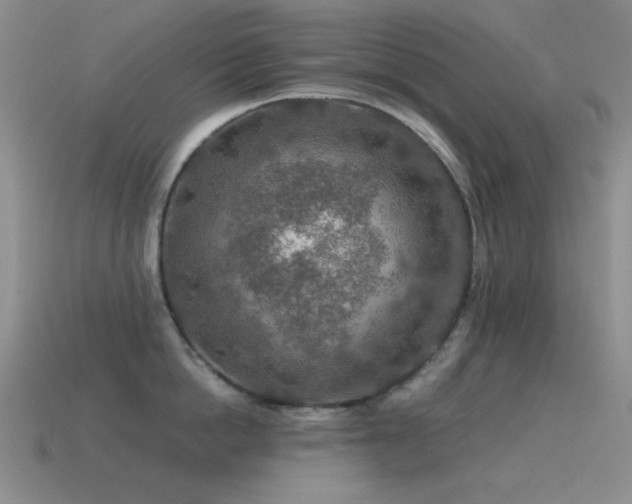 X0000115490862200911061305