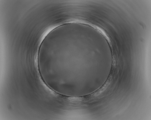 X0000115490863200911061305