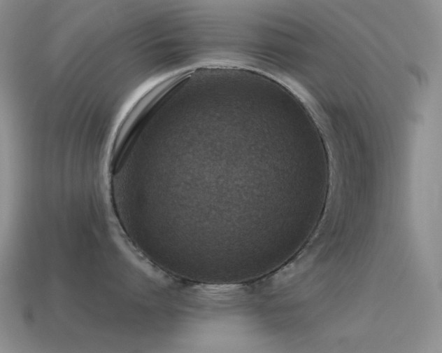 X0000115490864200911061305