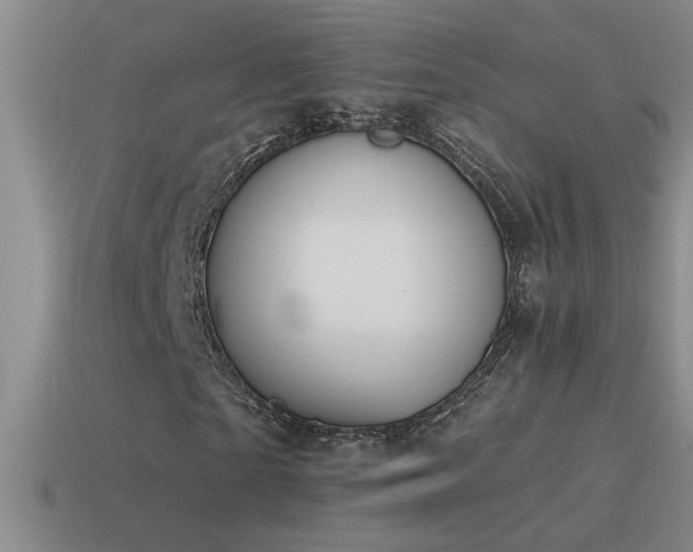 X0000115490865200911061305