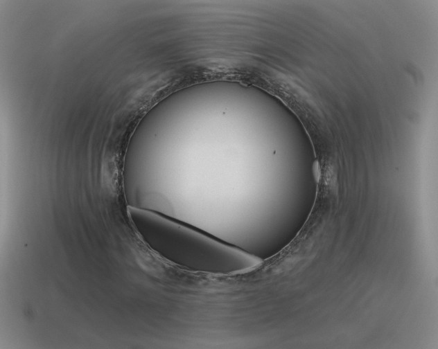 X0000115490868200911061305
