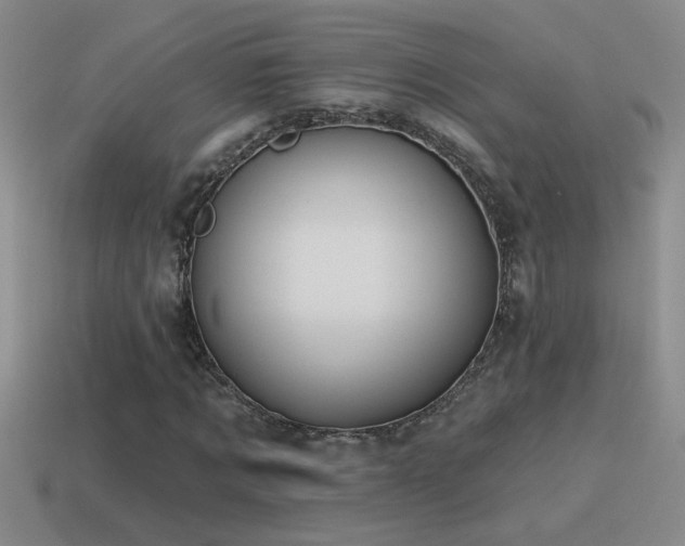 X0000115490869200911061305