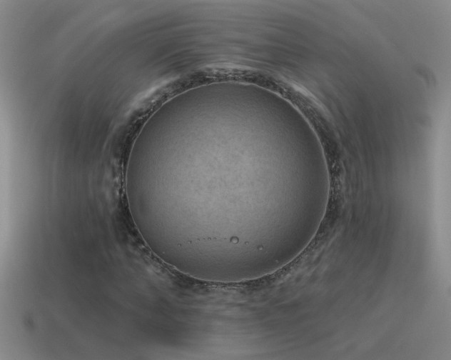 X0000115490870200911061305