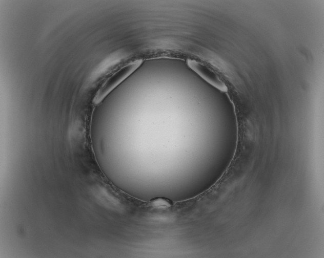 X0000115490872200911061305