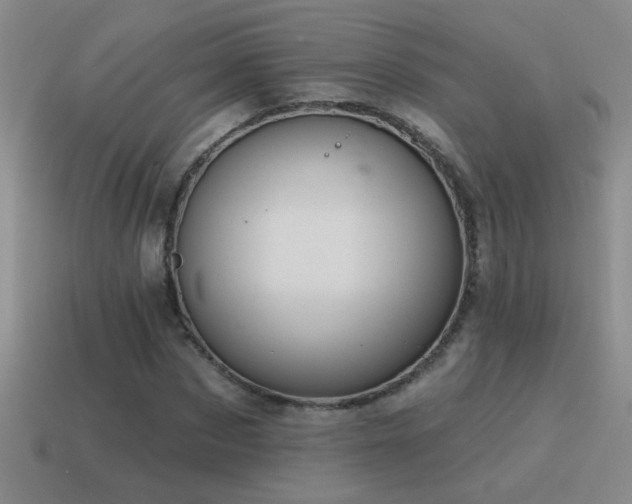 X0000115490873200911061305