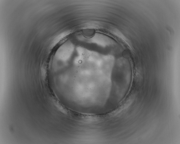X0000115490874200911061305