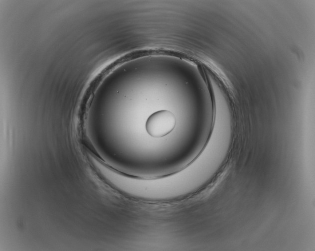 X0000115490876200911061305