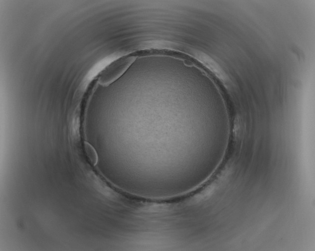 X0000115490877200911061304