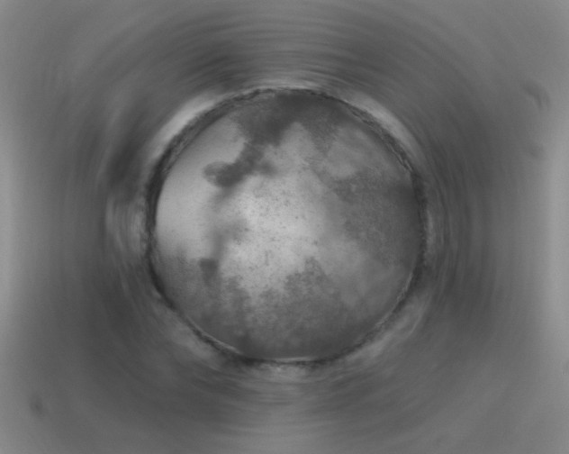 X0000115490878200911061304