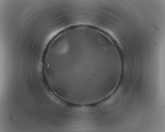 X0000115490879200911061304