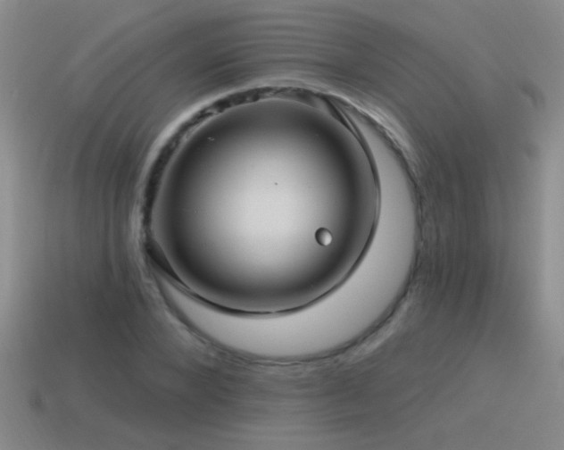 X0000115490880200911061304