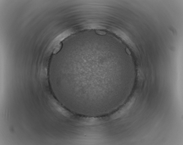 X0000115490881200911061304