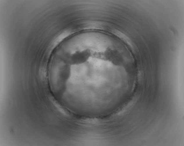 X0000115490882200911061304