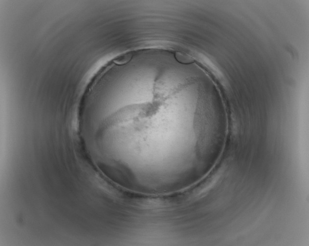 X0000115490883200911061304
