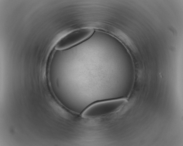 X0000115490884200911061304