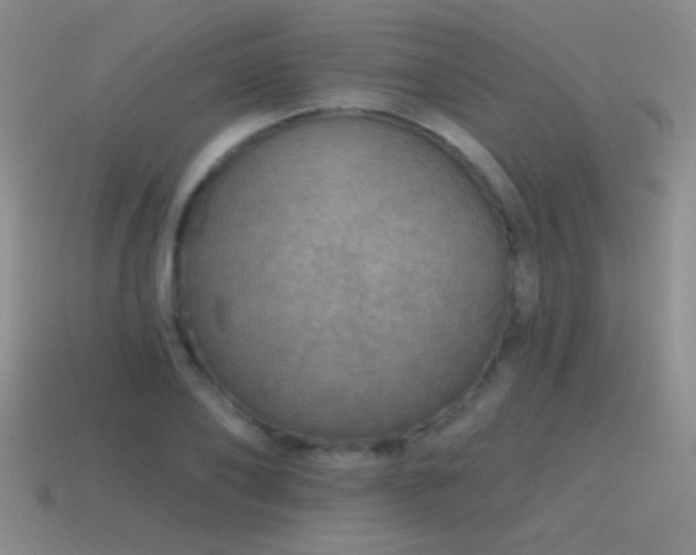 X0000115490886200911061304