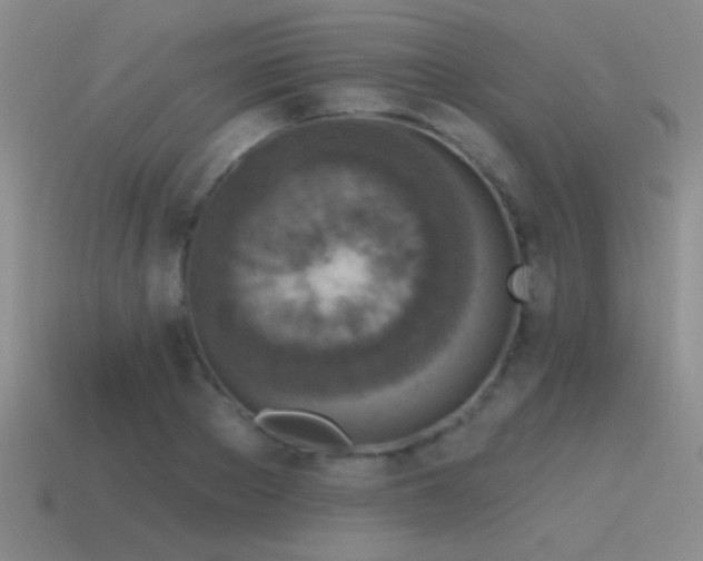 X0000115490889200911061304