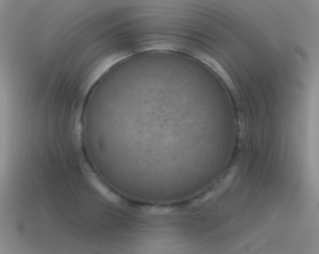 X0000115490890200911061304