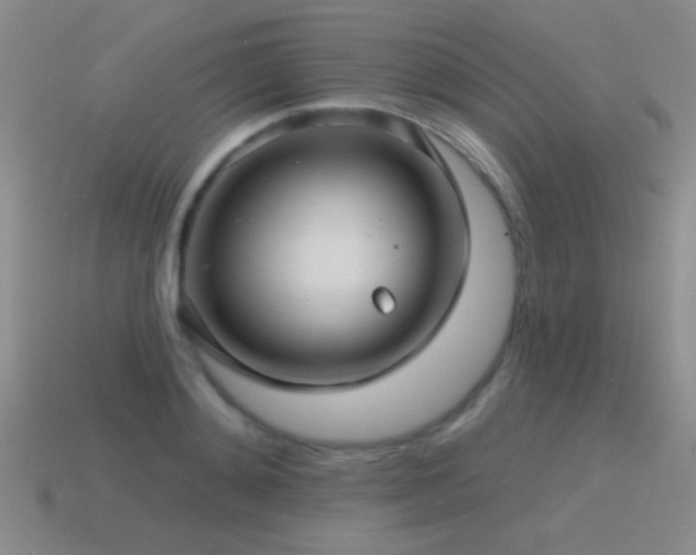X0000115490892200911061304