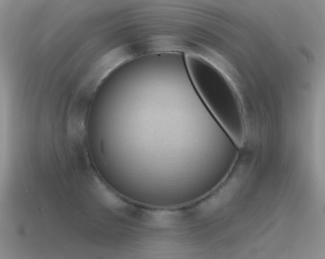 X0000115490897200911061304