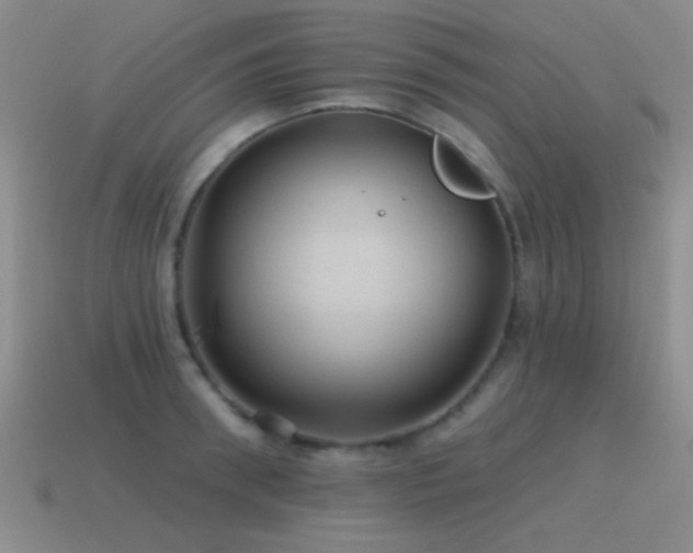 X0000115490898200911061304