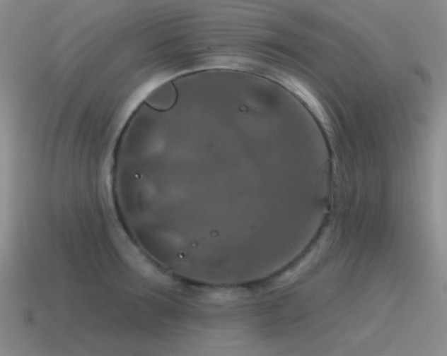 X0000115490899200911061304