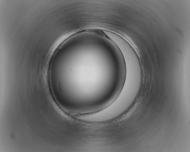 X0000115490901200911061304