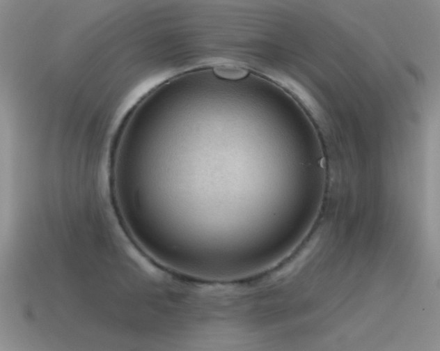 X0000115490902200911061304