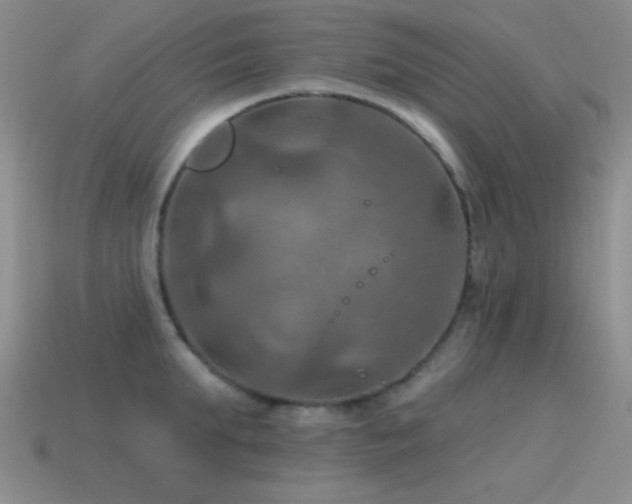 X0000115490903200911061304