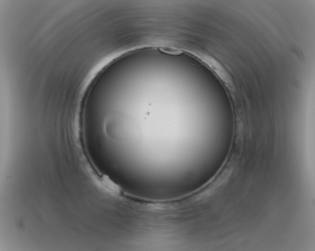 X0000115490904200911061304