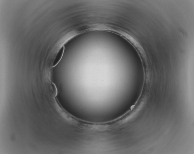 X0000115490905200911061304