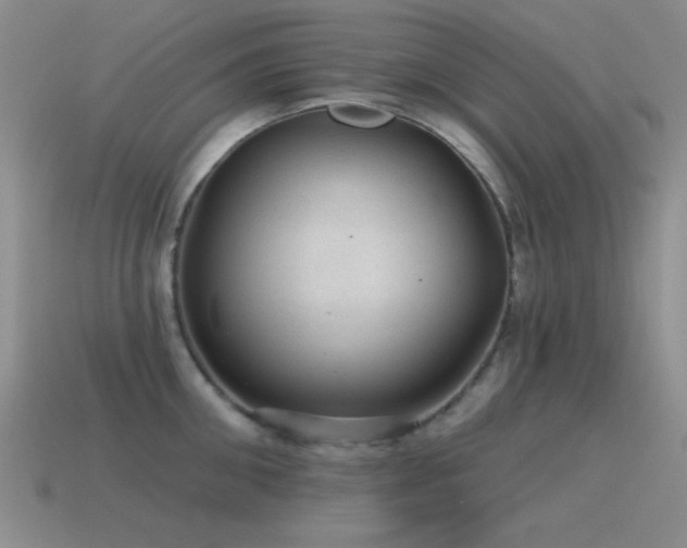 X0000115490906200911061304