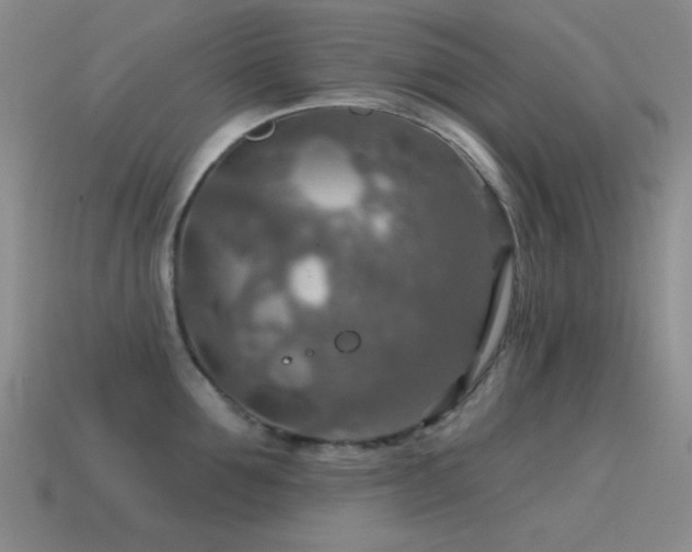 X0000115490907200911061304