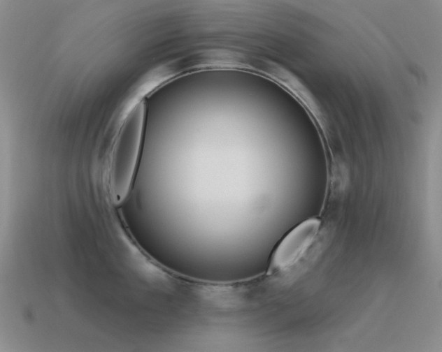 X0000115490909200911061304