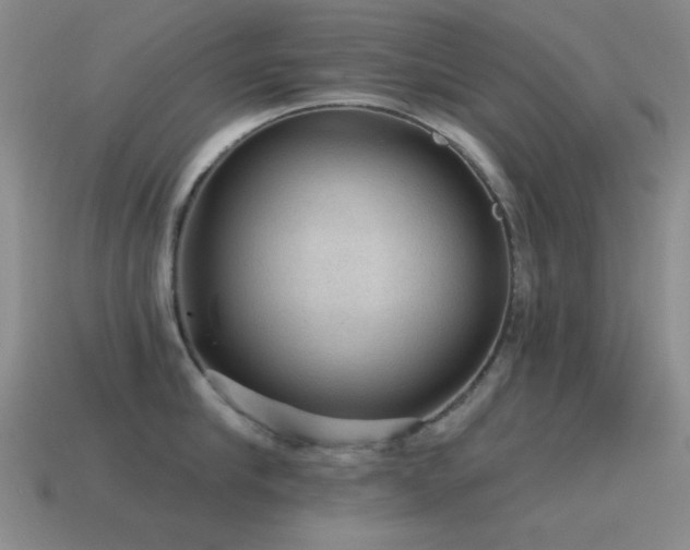X0000115490910200911061304