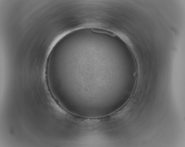 X0000115490912200911061304