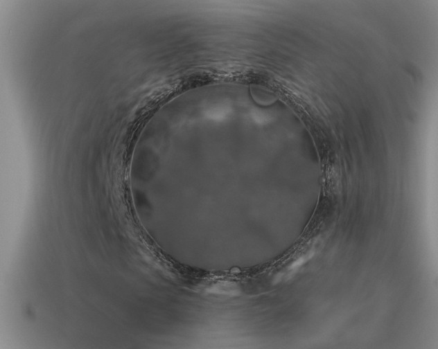X0000115490913200911061303