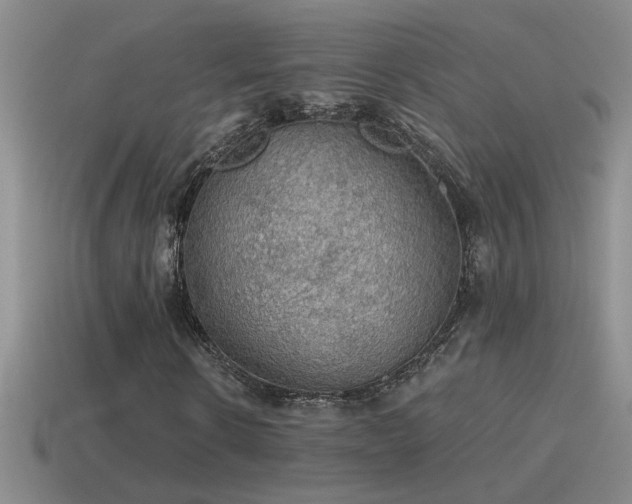 X0000115490914200911061303