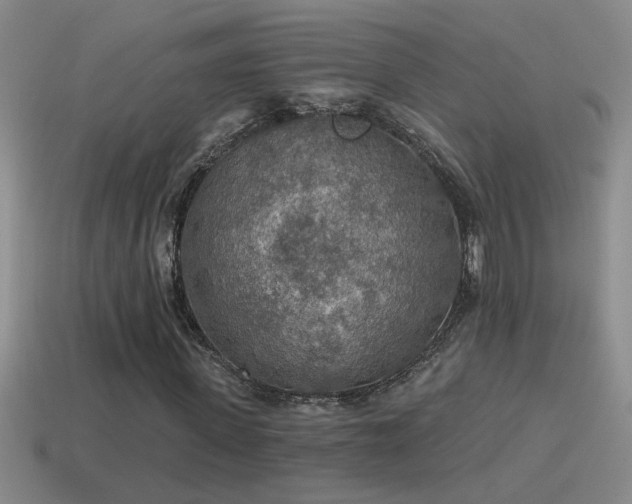 X0000115490915200911061303