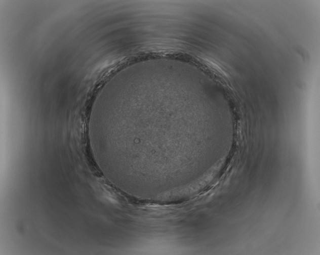 X0000115490917200911061303
